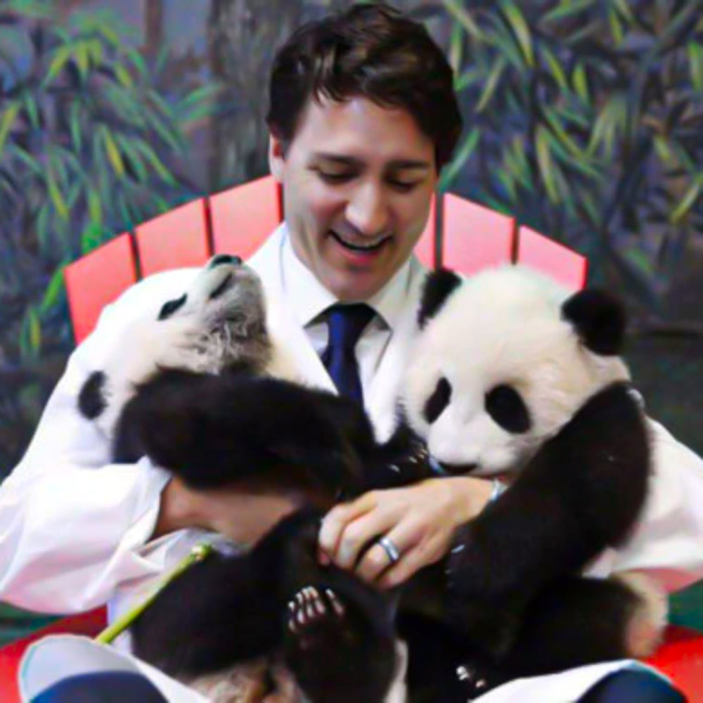 Poi Pu, The Hollywood Panda, strikes again!